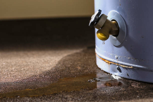 Best Sewage cleanup and water damage restoration  in Untain Grove, MO