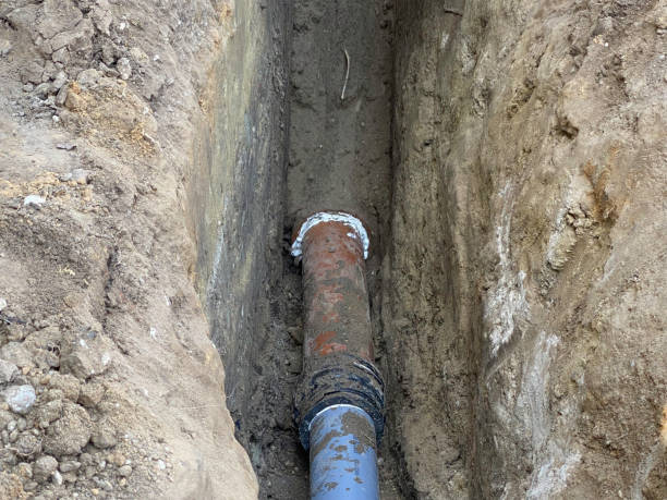  Untain Grove, MO Water damage restoration Pros