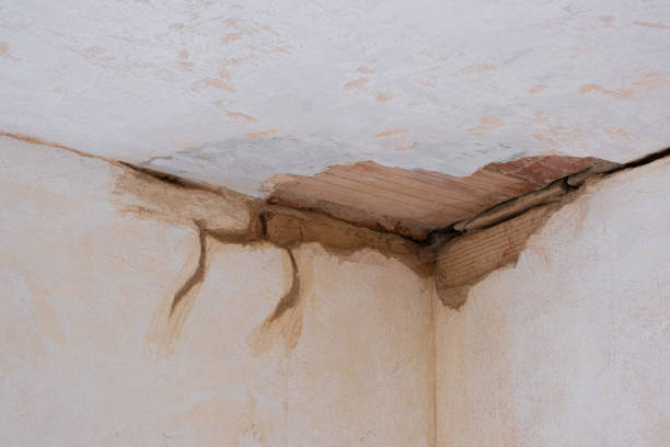 Mountain Grove, MO Water damage restoration Company