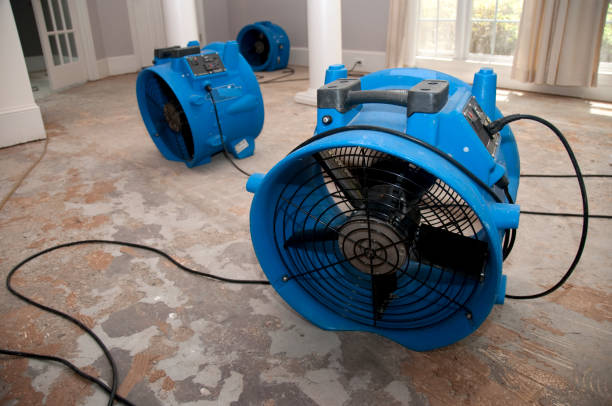 Best Residential water damage restoration  in Untain Grove, MO