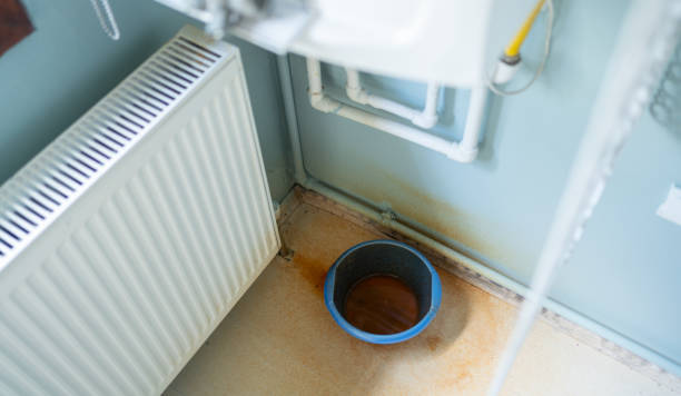 Best Flood restoration services  in Untain Grove, MO