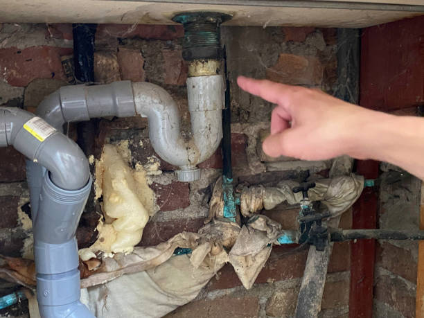 Best Carpet water damage restoration  in Untain Grove, MO