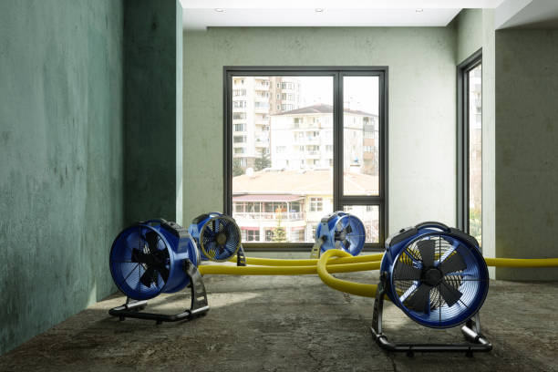 Best Residential water damage restoration  in Untain Grove, MO